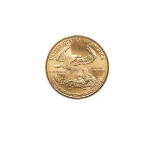 2004 American Gold Eagle 1oz Uncirculated